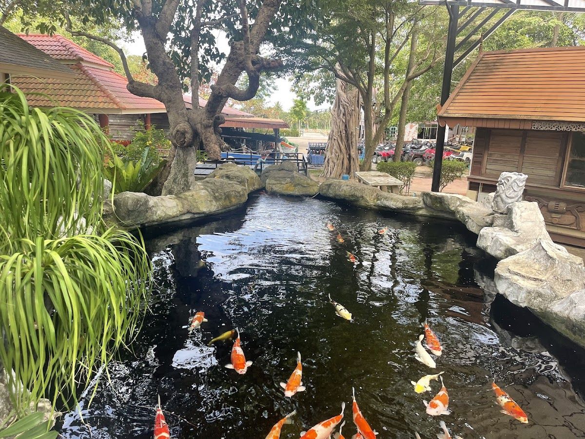 Chang Thai Thappraya Safari photo 3