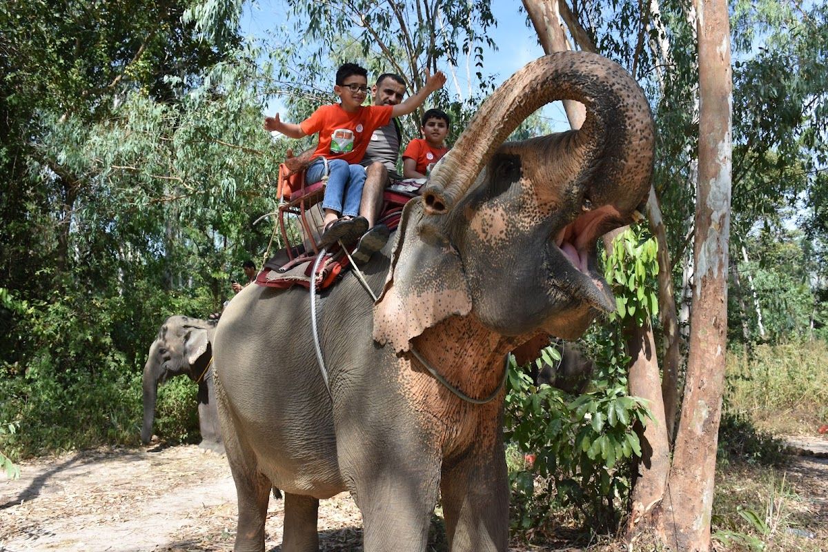 Chang Thai Thappraya Safari, Pattaya