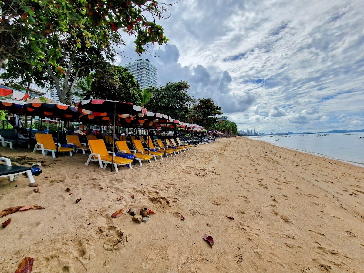 Dongtan Beach photo 4