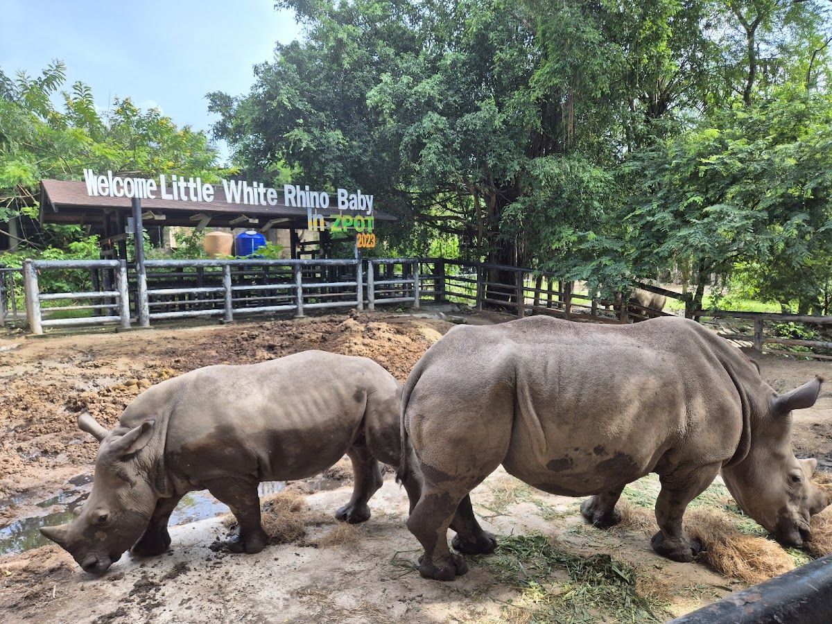 Khao Kheow Open Zoo photo 4