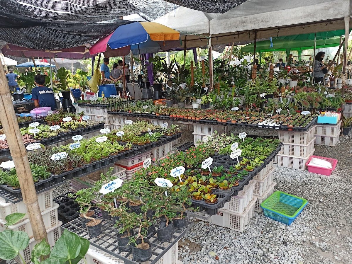 Klongtom Market Pattaya photo 2