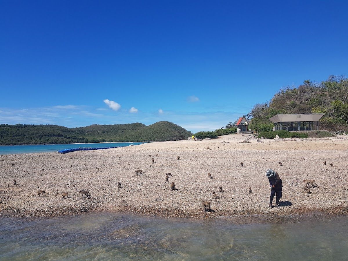 Koh Ped ( Koh Ling / Monkey Island ) photo 4