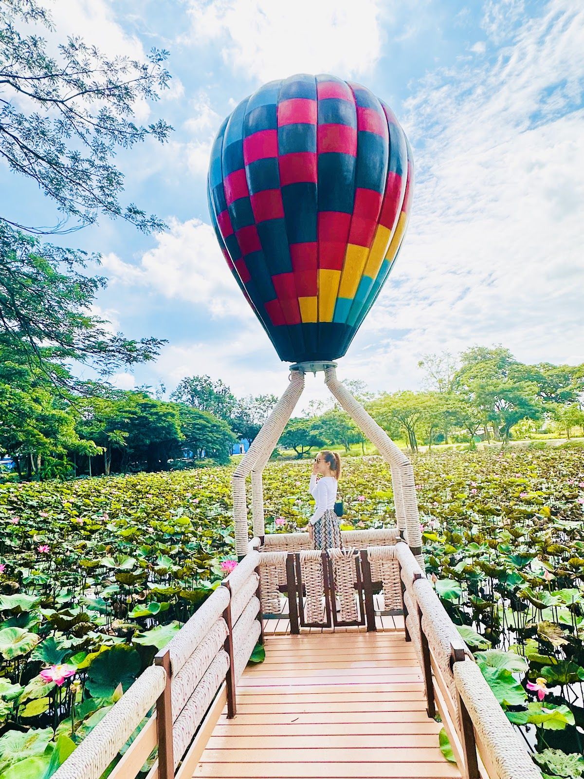 Lighting Art Museum&Balloon Garden photo 4