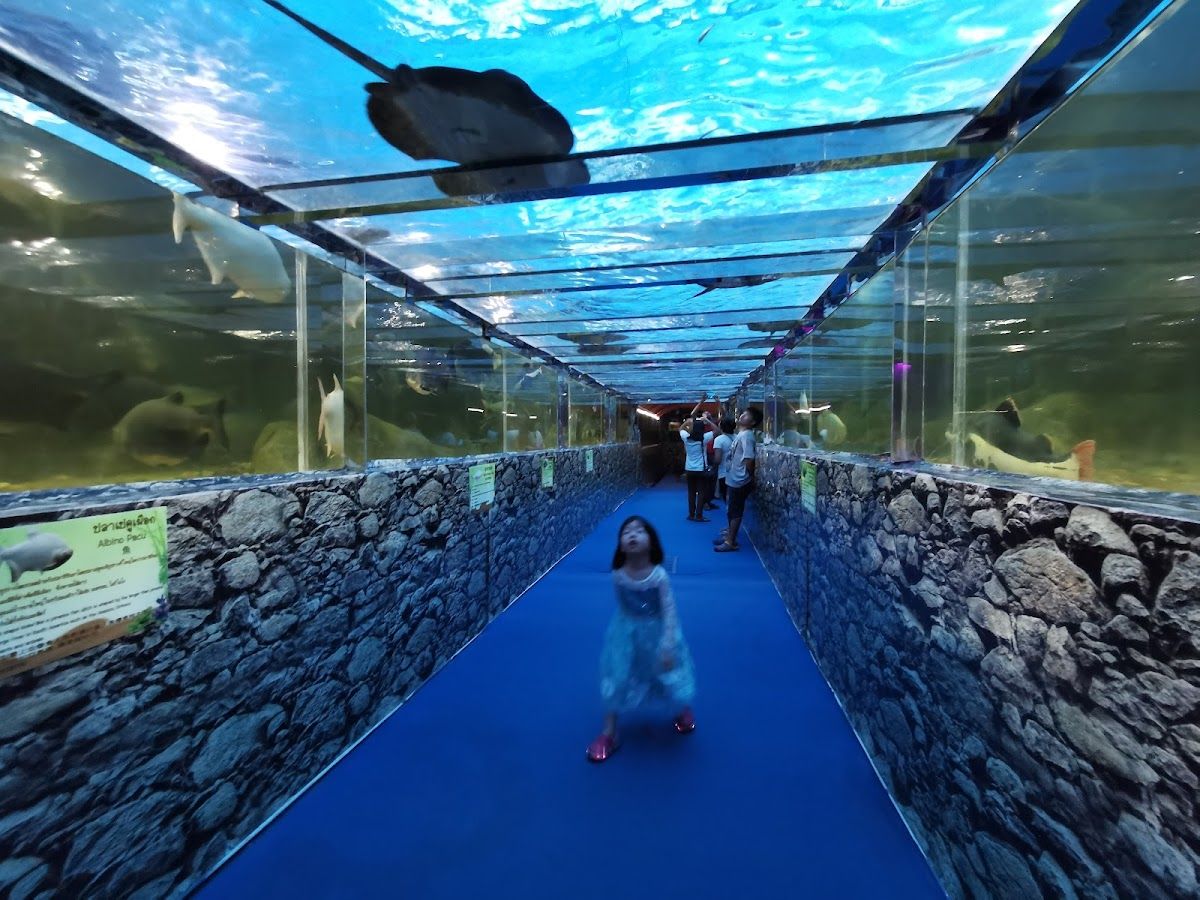 Monster Aquarium Pattaya, Pattaya