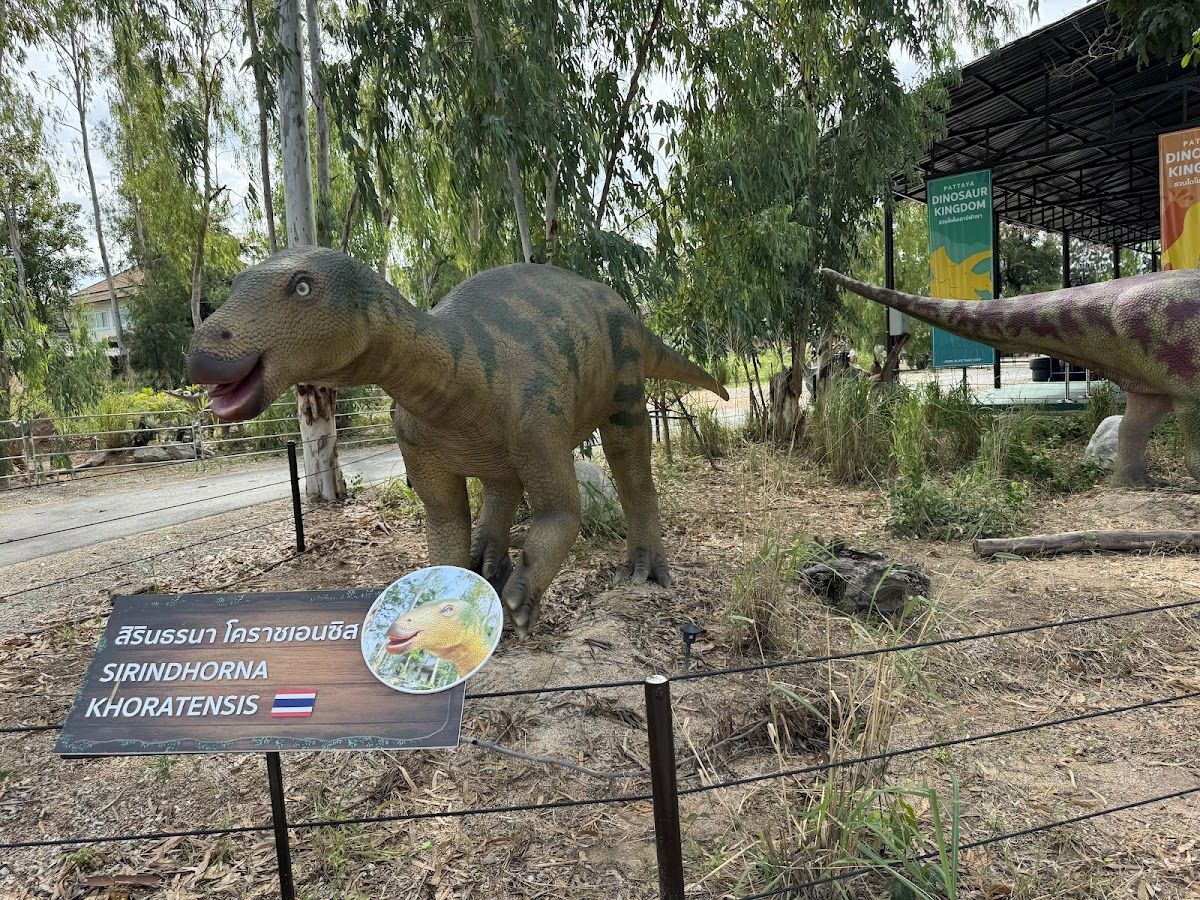 สวนไดโนเสาร์พัทยา Pattaya​ Dinosaur Kingdom photo 4