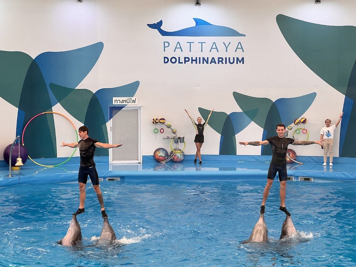 Pattaya Dolphinarium photo 2