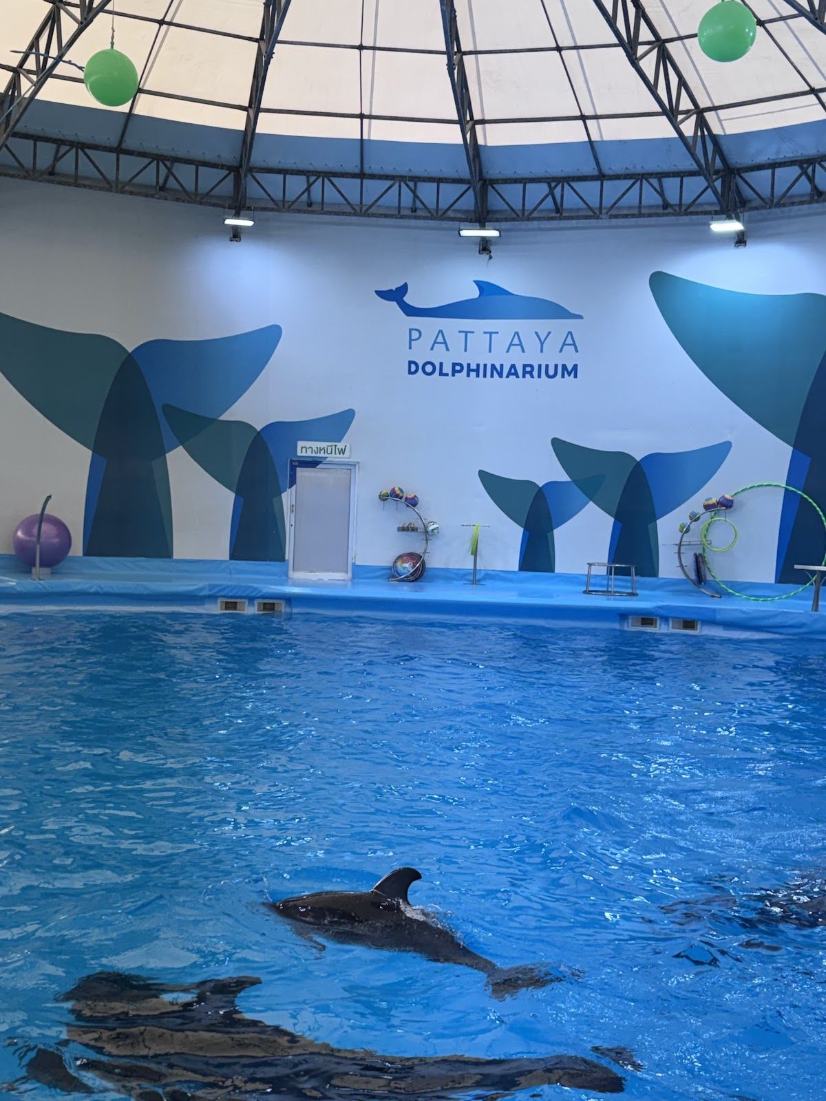 Pattaya Dolphinarium photo 3