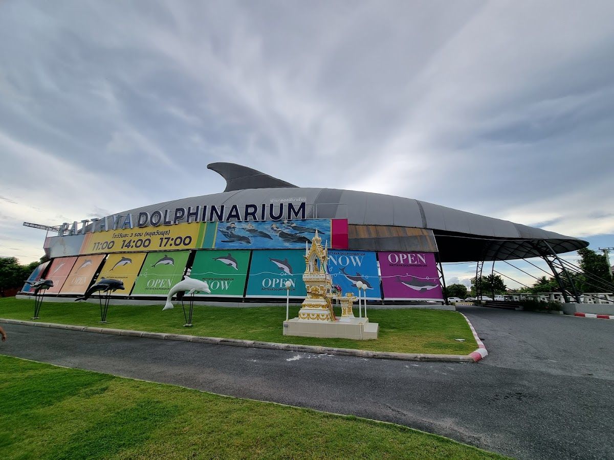 Pattaya Dolphinarium photo 4