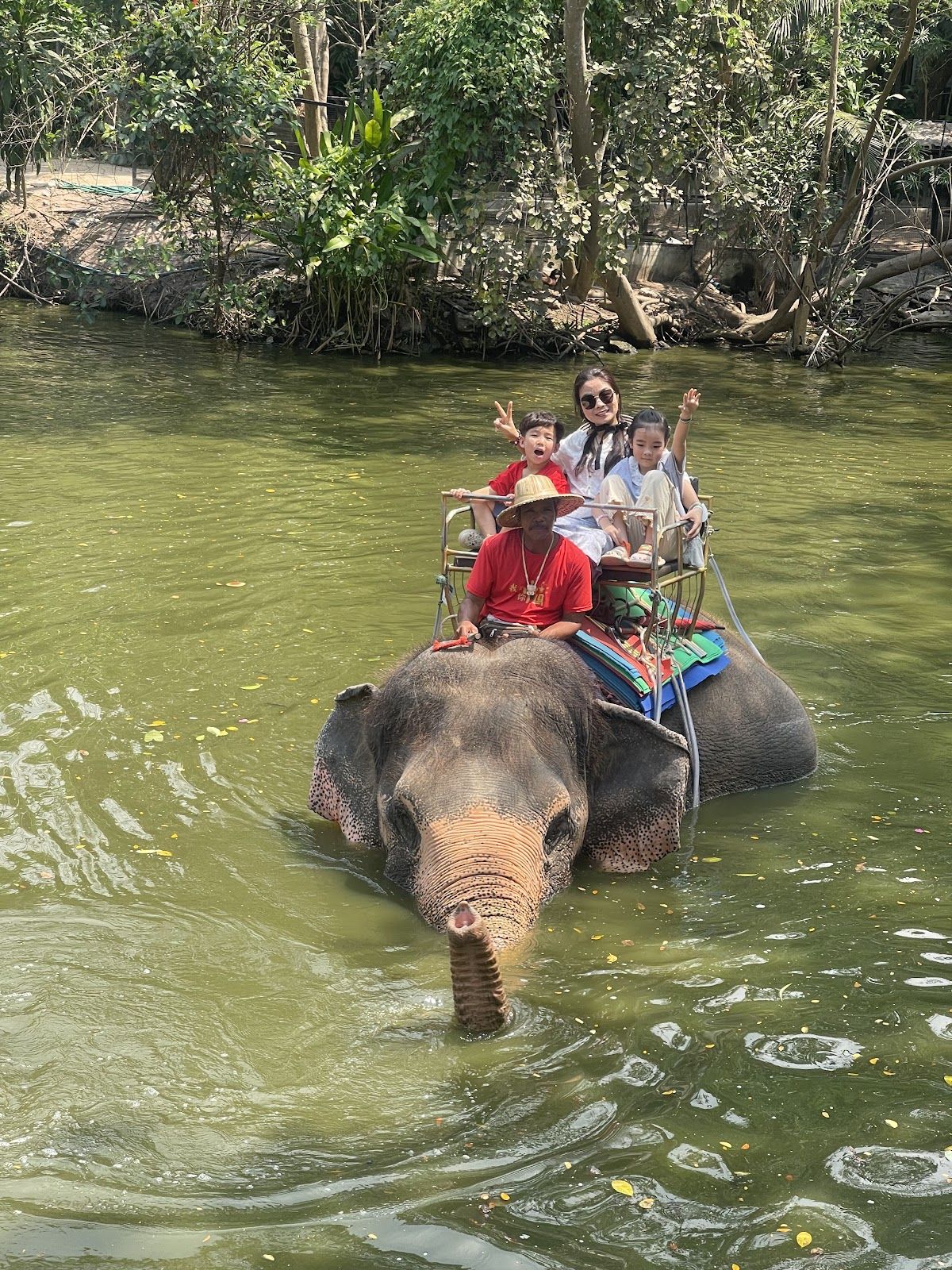 Pattaya Elephant Village photo 2
