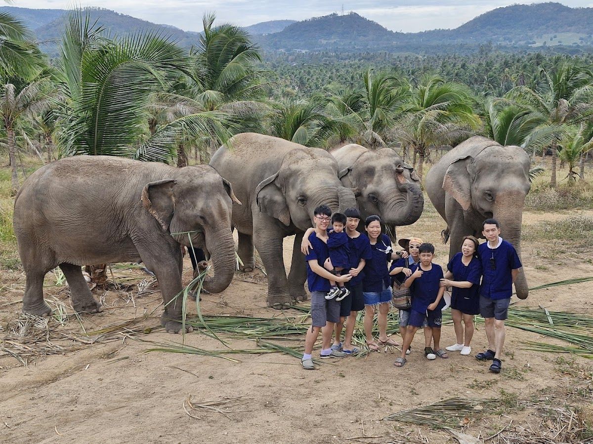 Pattaya Ethical Elephant Tour (Living Green Elephant Sanctuary) photo 2