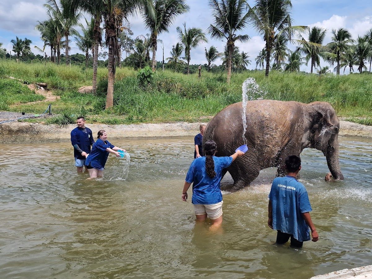 Pattaya Ethical Elephant Tour (Living Green Elephant Sanctuary) photo 3