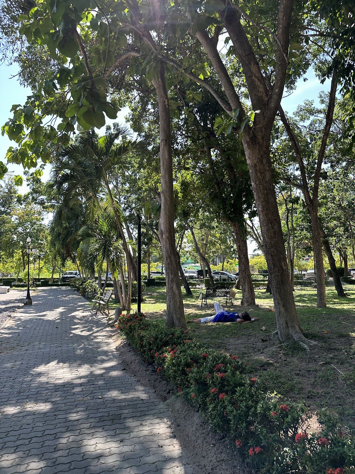 Queen Sirikit Health Garden photo 4