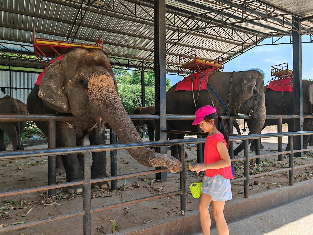 Siri Park and Zoo by Sriracha Zoo photo 2