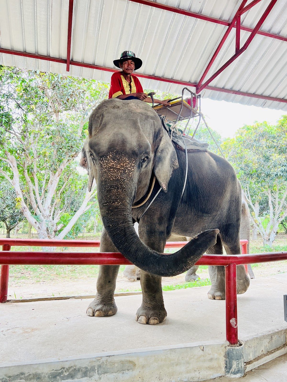 Tarzan Adventure Pattaya photo 3