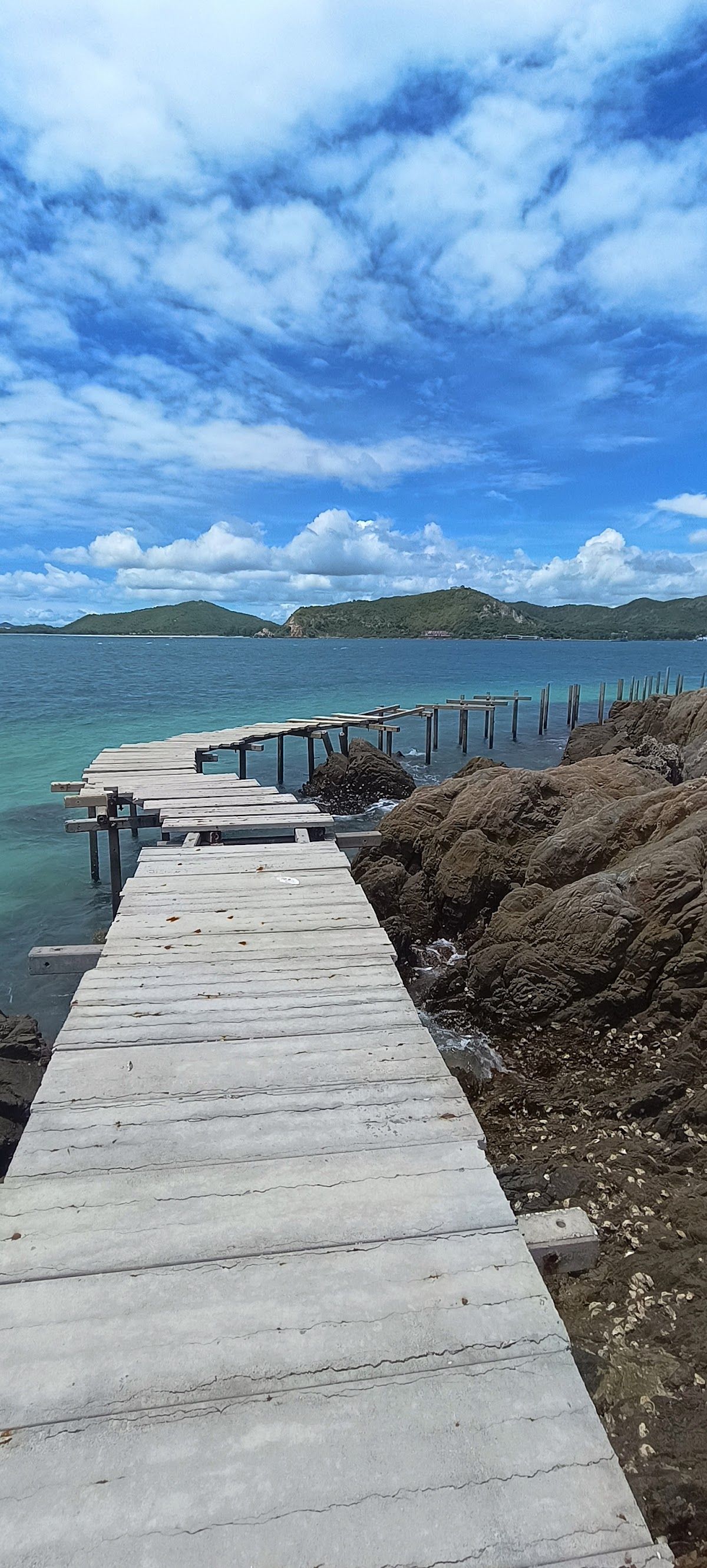 Thai Island and Sea Natural History Museum photo 3