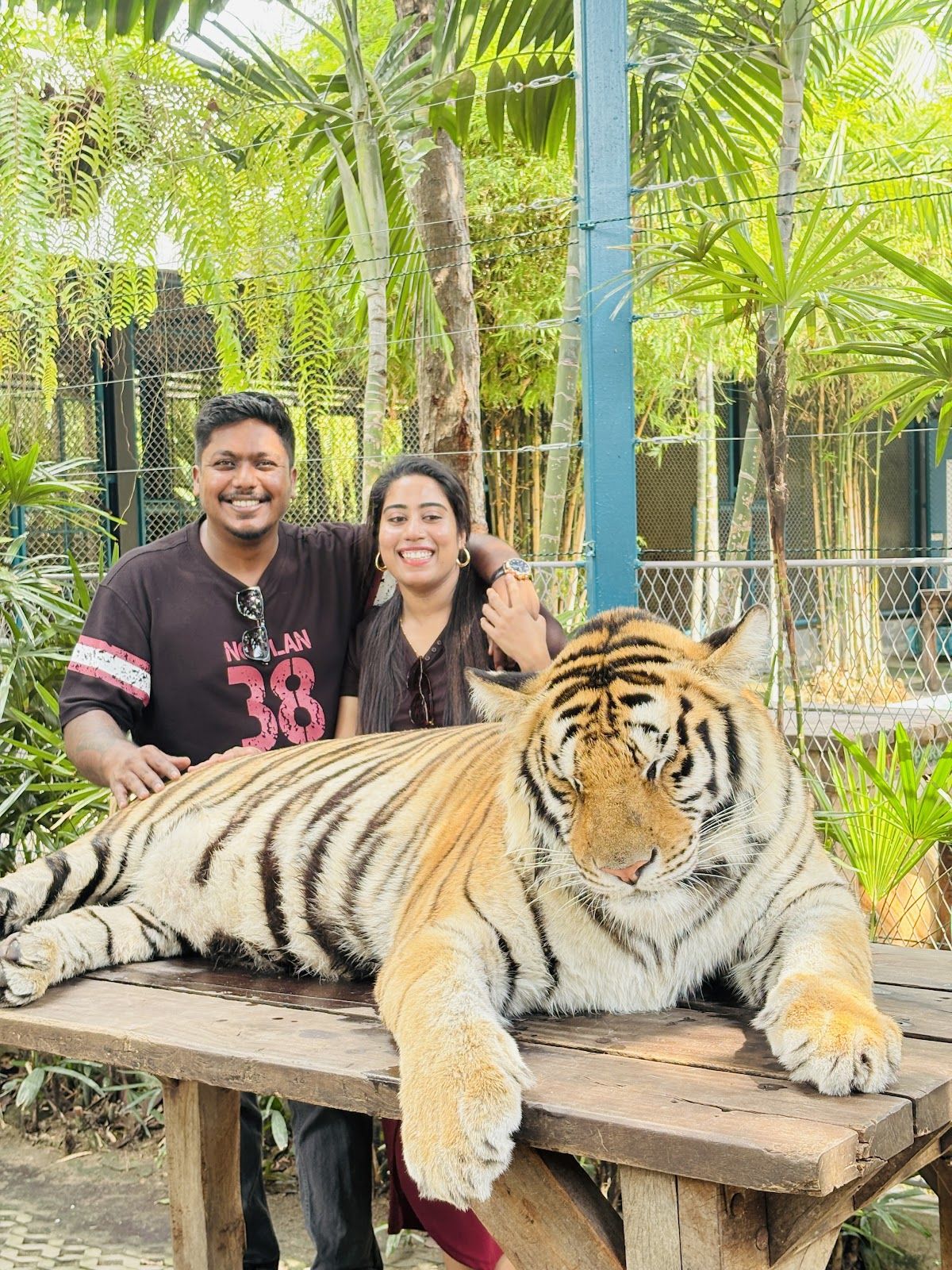 Tiger Park Pattaya, Pattaya