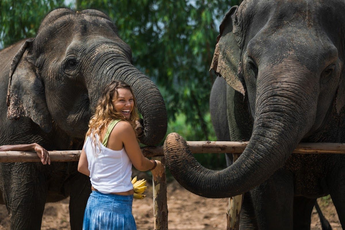 Visitors feeding and bathing rescued elephants at Pattaya sanctuary