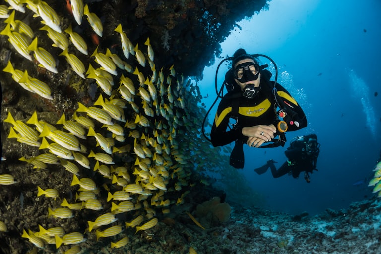 Scuba Diving Day Trip from Pattaya photo 2