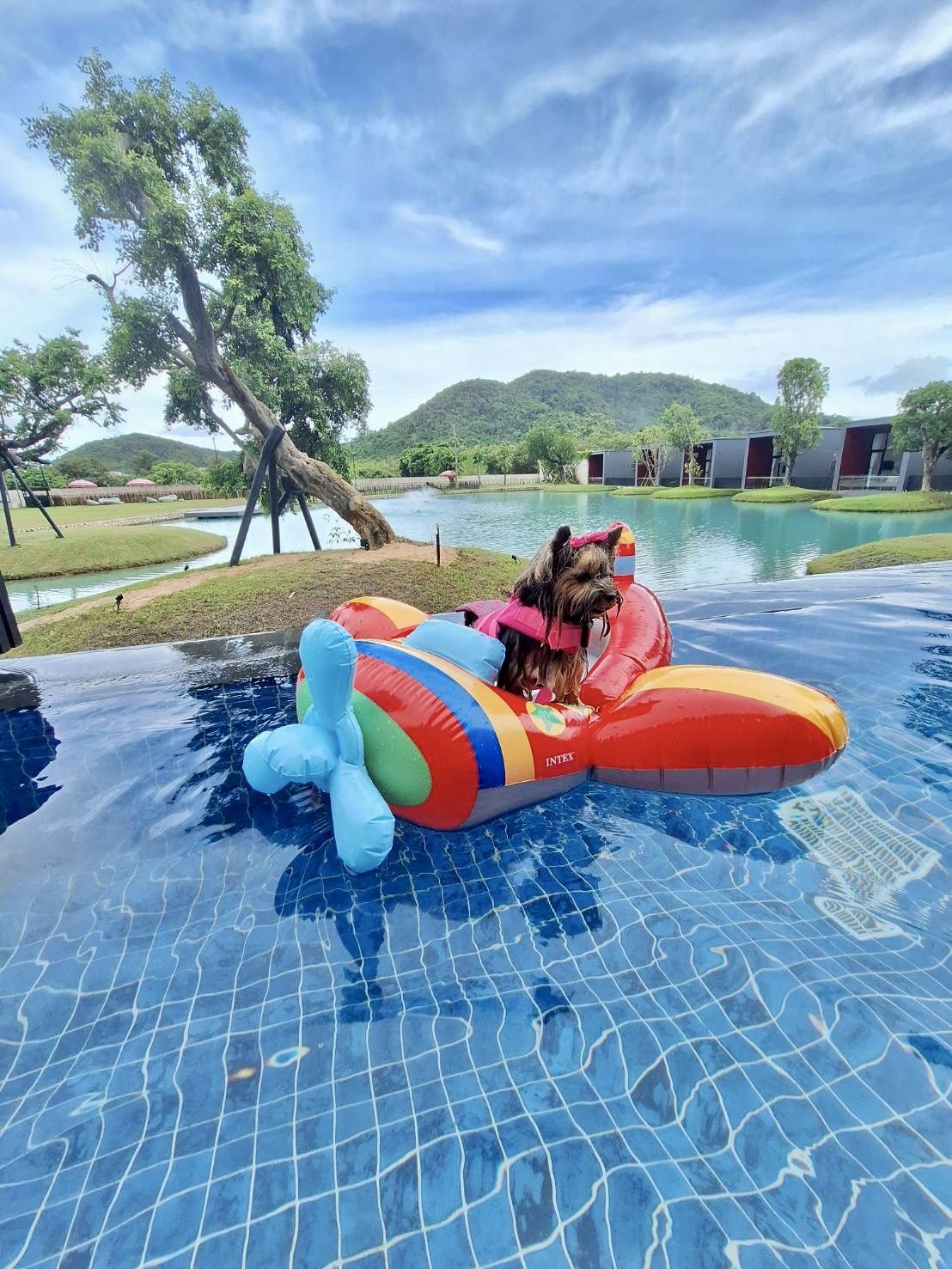 Miss You A Lot Resort room interior in Bang Saray