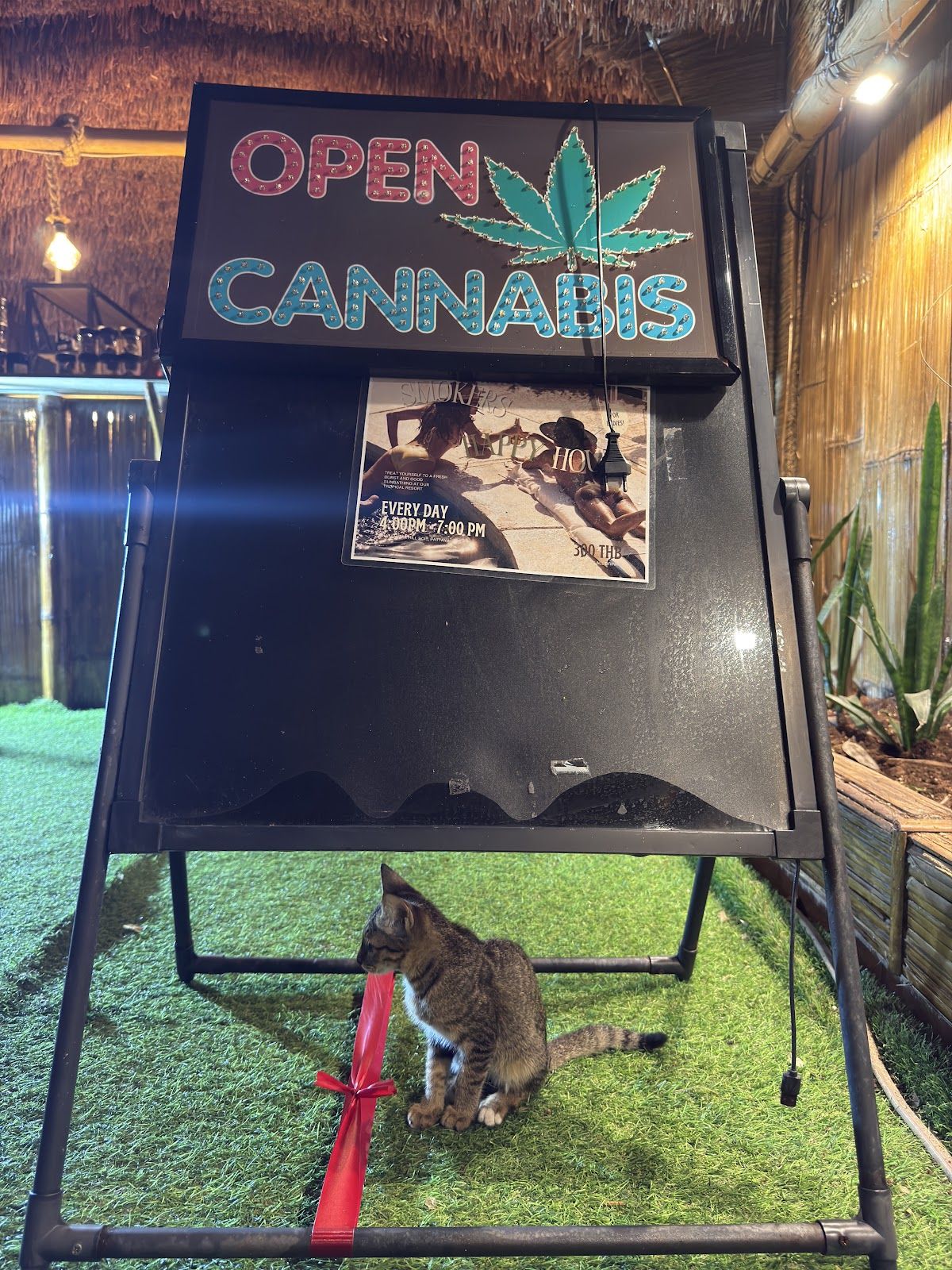 Smokers Beach Club & Cannabis Resort facilities in Jomtien Beach