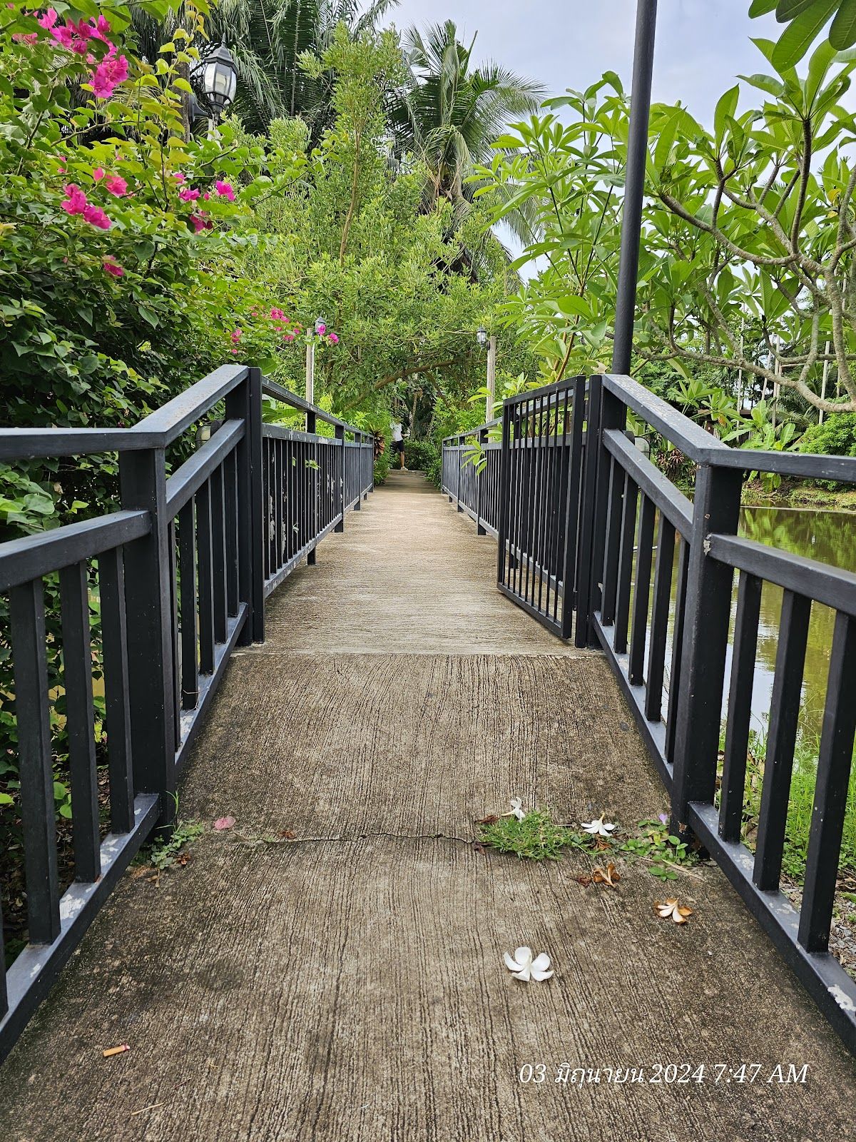 Suan Phueng Resort exterior in Bang Saray