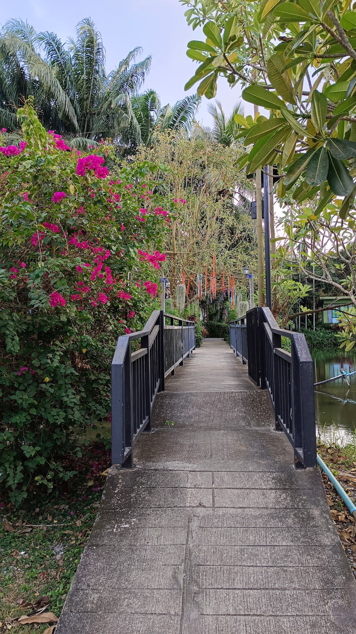 Suan Phueng Resort facilities in Bang Saray